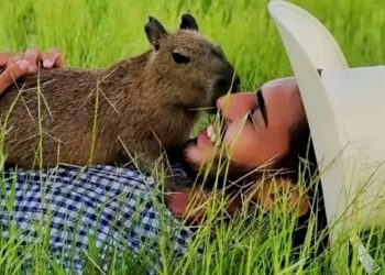 FILÓ E AGENOR: INDISPENSABILIDADE DA CONSIDERAÇÃO DOS POVOS DA FLORESTA