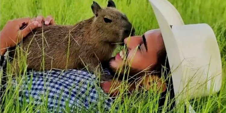 FILÓ E AGENOR: INDISPENSABILIDADE DA CONSIDERAÇÃO DOS POVOS DA FLORESTA