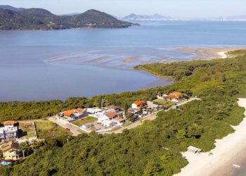 FLORIANÓPOLIS ESTÁ RECUPERANDO SEUS MANGUEZAIS PARA SALVAR A ILHA DAS MUDANÇAS CLIMÁTICAS