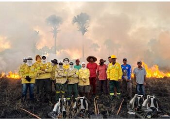 OS AGENTES AMBIENTAIS QUE BOTAM FOGO NA NATUREZA