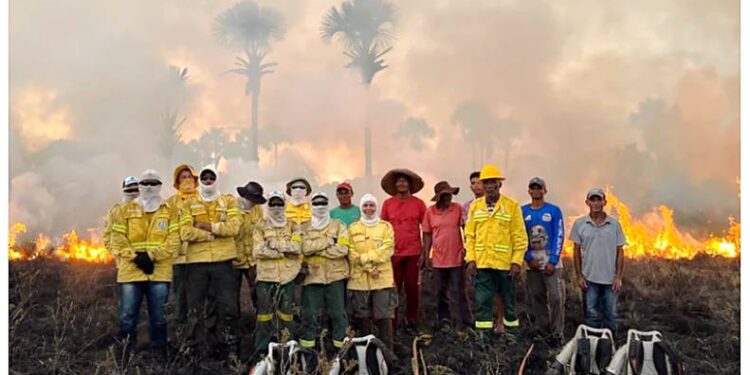 OS AGENTES AMBIENTAIS QUE BOTAM FOGO NA NATUREZA