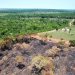 SISTEMA DE ALERTAS DE DESMATAMENTO DA MATA ATLÂNTICA (SAD MATA ATLÂNTICA) IDENTIFICA MAIS 21 MIL HECTARES DESMATADOS NO PRIMEIRO SEMESTRE DE 2022