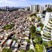 REDUÇÃO DA DESIGUALDADE GANHA FORÇA NA CIDADE DE SÃO PAULO