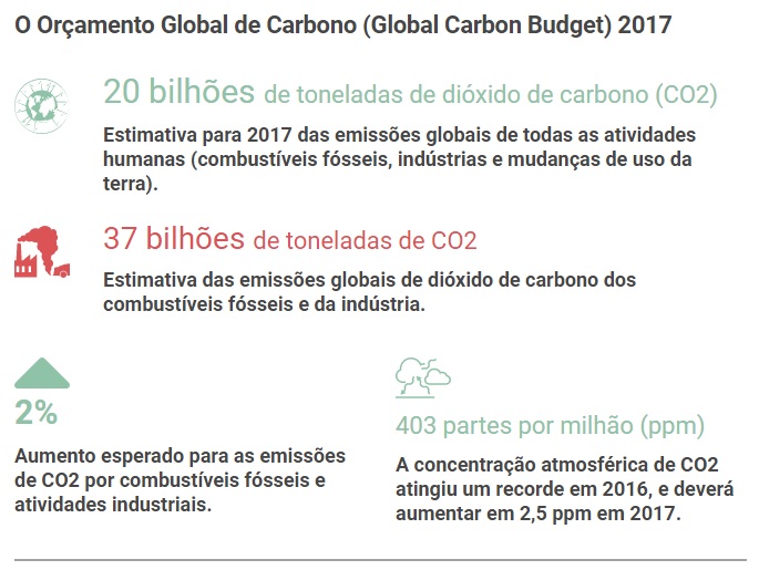 globalcarbono1