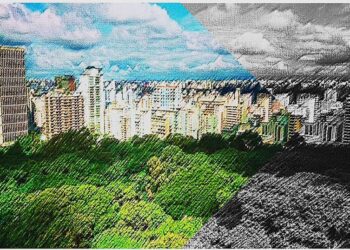 A FORÇA DA GOVERNANÇA VERDE: O LEGADO COLETIVO E A URGÊNCIA DA RECONSTRUÇÃO