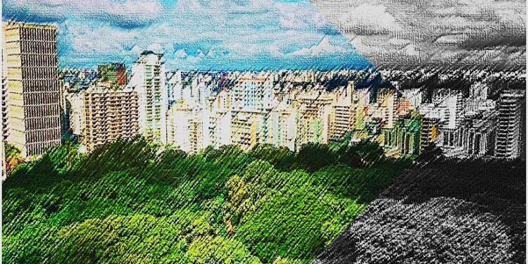 A FORÇA DA GOVERNANÇA VERDE: O LEGADO COLETIVO E A URGÊNCIA DA RECONSTRUÇÃO