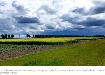 ‘AGRO DO FUTURO’ TEM LAVOURAS RESISTENTES A SECAS – E SEM USO DE COMBUSTÍVEIS FÓSSEIS