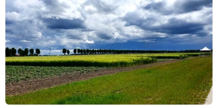 ‘AGRO DO FUTURO’ TEM LAVOURAS RESISTENTES A SECAS – E SEM USO DE COMBUSTÍVEIS FÓSSEIS