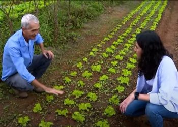 PROJETO HORTAS EM REDE/ AGDS NO JORNAL DA RECORD