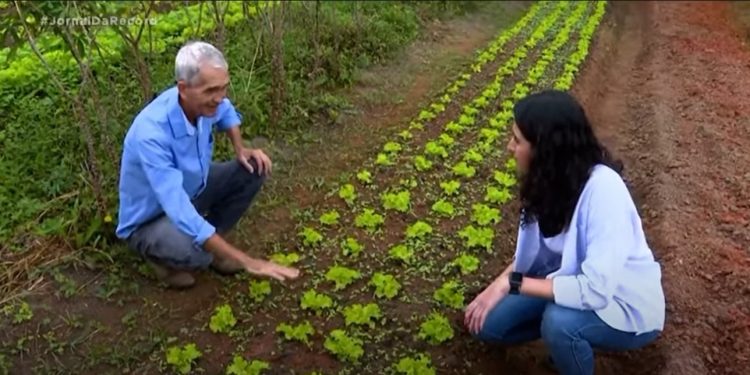 PROJETO HORTAS EM REDE/ AGDS NO JORNAL DA RECORD