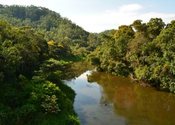 A CRISE HÍDRICA E A MATA ATLÂNTICA
