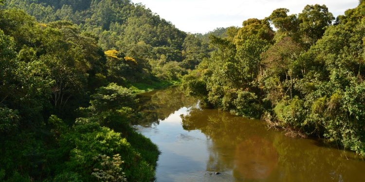 A CRISE HÍDRICA E A MATA ATLÂNTICA