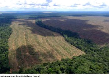 REGIÕES DA AMAZÔNIA JÁ ATINGIRAM PONTO DE NÃO RETORNO, AFIRMA PESQUISADORA