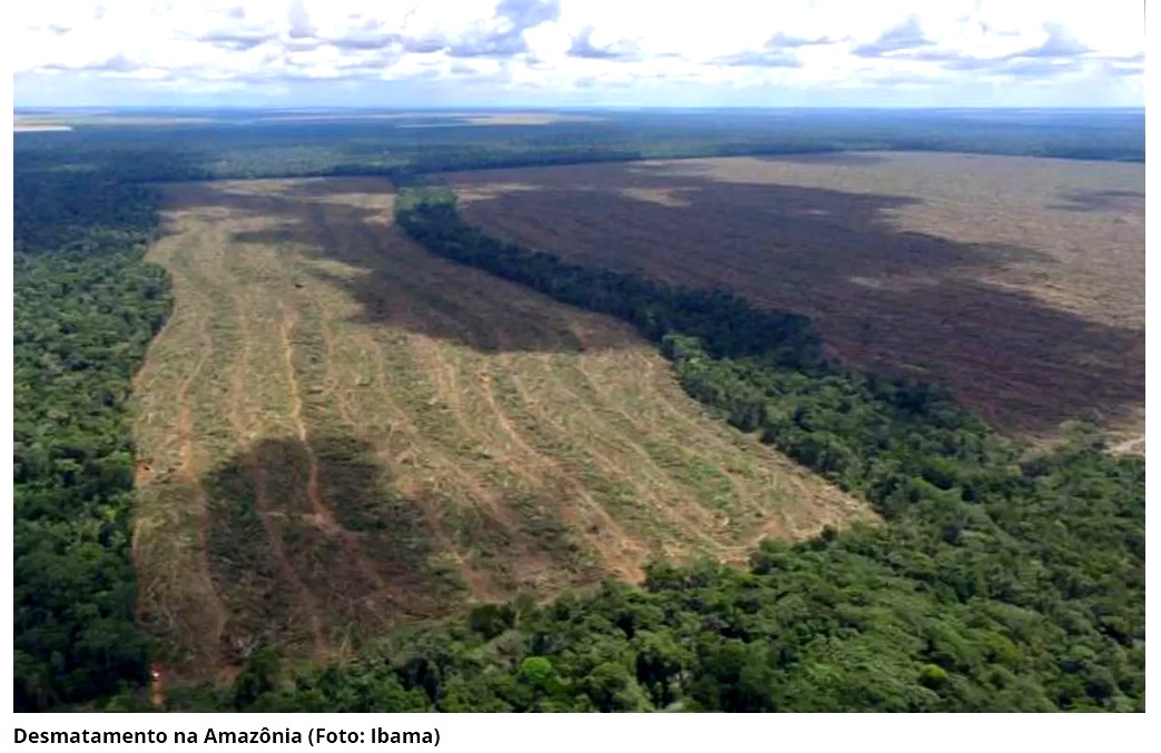 Regiões da Amazônia já atingiram ponto de não retorno, afirma pesquisadora  - Revista Galileu