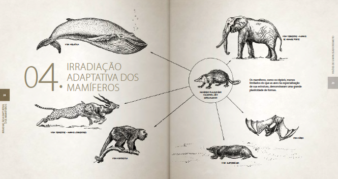 Ilustração de Ibsen de Gusmão Câmara do livro "Visões de um passado remoto".