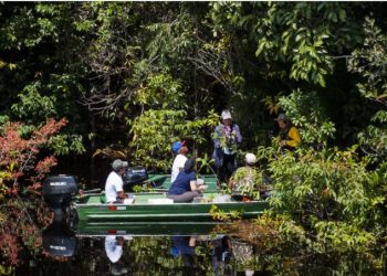 ESTUDO AVALIA O PAPEL DOS RIOS PARA A ORIGEM DA ALTA BIODIVERSIDADE AMAZÔNICA