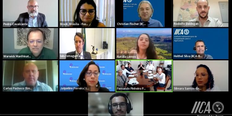 AGRICULTURA URBANA UNE SUSTENTABILIDADE, RENDA, INCLUSÃO E SEGURANÇA ALIMENTAR EM SEMINÁRIO PROMOVIDO PELO IICA E SECLIMA