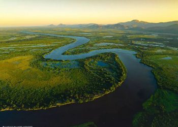 DIA DO PANTANAL DESTACA IMPORTÂNCIA DA PRESERVAÇÃO AMBIENTAL