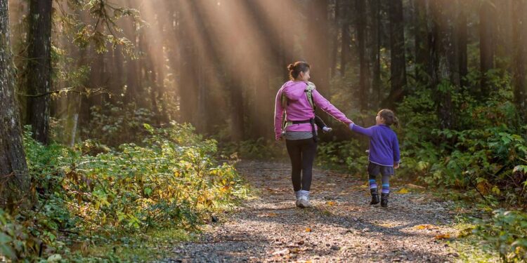 ONU MARCA DIA INTERNACIONAL DAS FLORESTAS FOCANDO EM ECONOMIA