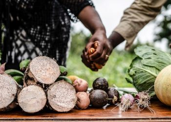DIA MUNDIAL DA ALIMENTAÇÃO PROMOVE CUIDADO COM TODOS PARA EVITAR FOME
