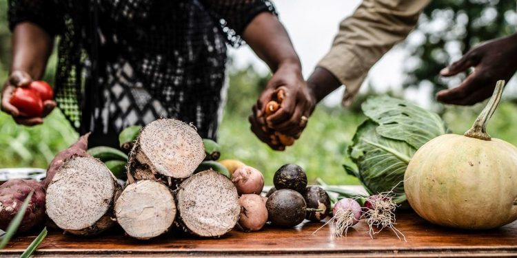 DIA MUNDIAL DA ALIMENTAÇÃO PROMOVE CUIDADO COM TODOS PARA EVITAR FOME