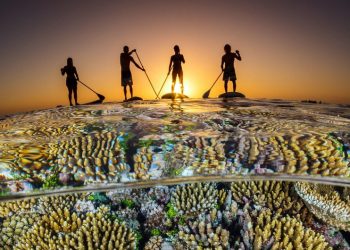 DIA INTERNACIONAL DA DIVERSIDADE BIOLÓGICA REFORÇA URGÊNCIA DE ACORDO NA COP15