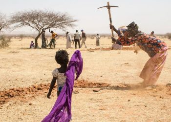 APELO POR CONSERVAÇÃO MARCA DIA MUNDIAL DE COMBATE À DESERTIFICAÇÃO E À SECA