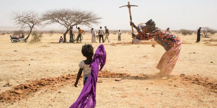 APELO POR CONSERVAÇÃO MARCA DIA MUNDIAL DE COMBATE À DESERTIFICAÇÃO E À SECA