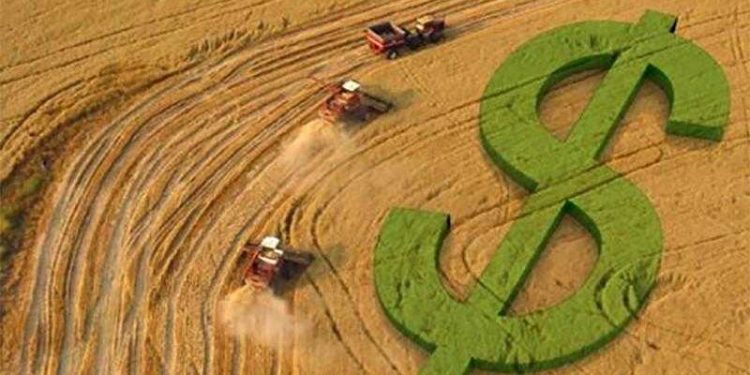 (IM)POSSIBILIDADE DE COBRANÇA DE ITR E ESPAÇOS TERRITORIAIS ECOLOGICAMENTE PROTEGIDOS