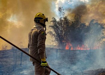 COMO TERRAS INDÍGENAS NA AMAZÔNIA PODEM ABSORVER A FUMAÇA DOS INCÊNDIOS E PREVENIR DOENÇAS