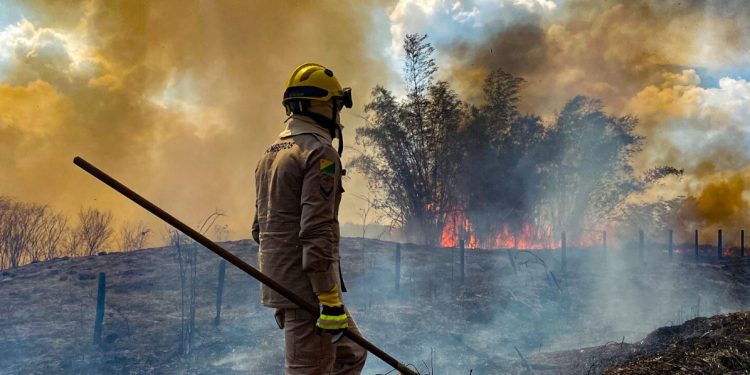 COMO TERRAS INDÍGENAS NA AMAZÔNIA PODEM ABSORVER A FUMAÇA DOS INCÊNDIOS E PREVENIR DOENÇAS
