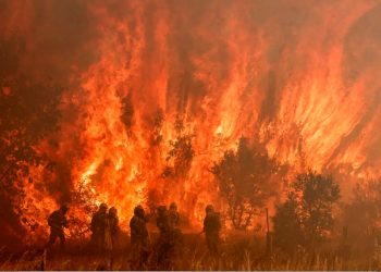 QUEIMADAS E INCÊNDIOS FLORESTAIS. ALGUMAS HISTÓRIAS SOBRE ESSE IMPORTANTE TEMA