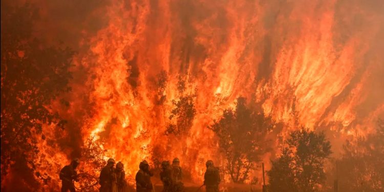 QUEIMADAS E INCÊNDIOS FLORESTAIS. ALGUMAS HISTÓRIAS SOBRE ESSE IMPORTANTE TEMA