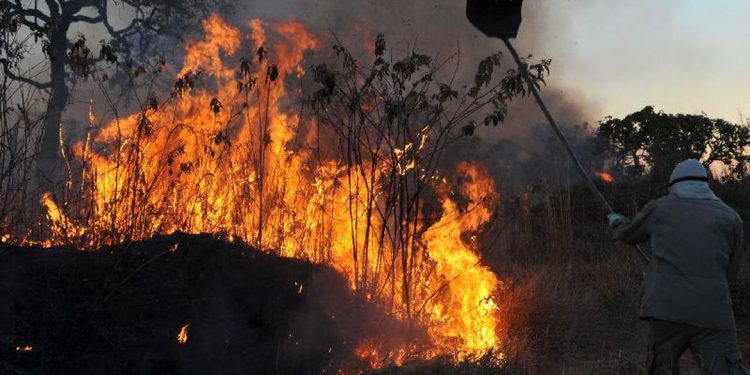 GOVERNO DECLARA EMERGÊNCIA AMBIENTAL EM VÁRIAS REGIÕES POR RISCO DE INCÊNDIOS FLORESTAIS