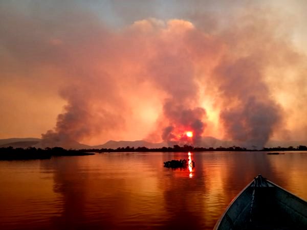 Incêndio no pantanal (foto de reinalgo nogales ecoa-3)