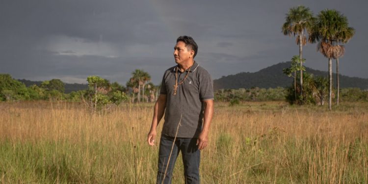 EM RORAIMA, COMUNIDADES INDÍGENAS CRIAM SOLUÇÕES SUSTENTÁVEIS EM MEIO A AMEAÇAS