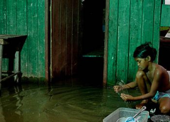 COMO CRIANÇAS E ADOLESCENTES BRASILEIROS ENFRENTAM A EMERGÊNCIA CLIMÁTICA