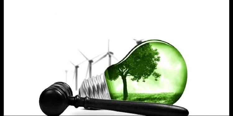 Série Especial – Decisões Judiciais Relevantes para as Questões Ambientais: Ep. 1