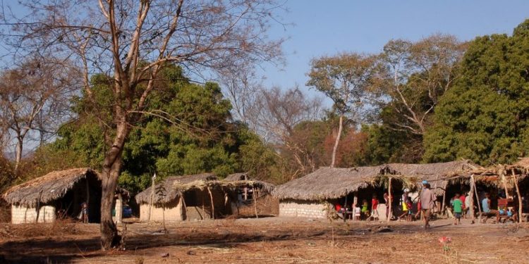 QUILOMBO KALUNGA, UM GUARDIÃO INVISÍVEL DO CERRADO
