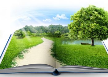 CÓDIGO FLORESTAL COMPLETA 10 ANOS SOB ATAQUES E AMEAÇAS