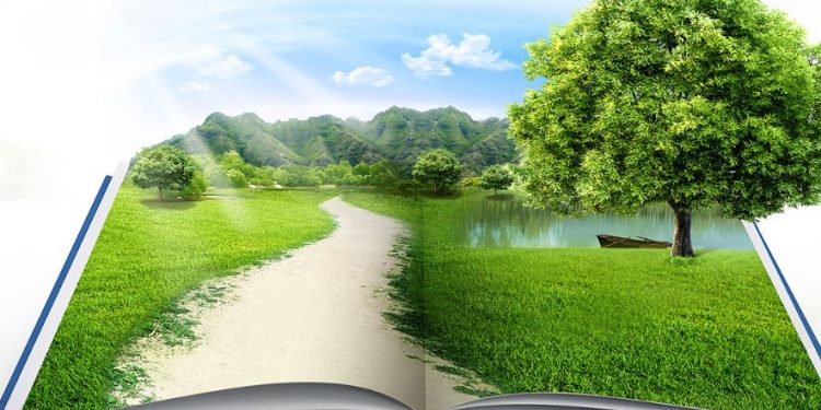 CÓDIGO FLORESTAL COMPLETA 10 ANOS SOB ATAQUES E AMEAÇAS