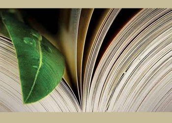 INTERFERÊNCIA IDEOLÓGICA PREJUDICA APLICAÇÃO DA LEI AMBIENTAL, DIZ SECRETÁRIO