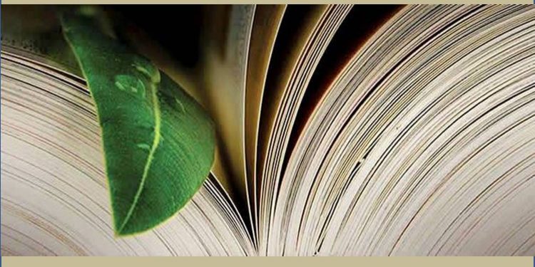 INTERFERÊNCIA IDEOLÓGICA PREJUDICA APLICAÇÃO DA LEI AMBIENTAL, DIZ SECRETÁRIO