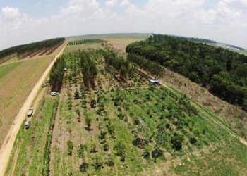DEZ PONTOS POSITIVOS DO PL DE LICENCIAMENTO AMBIENTAL