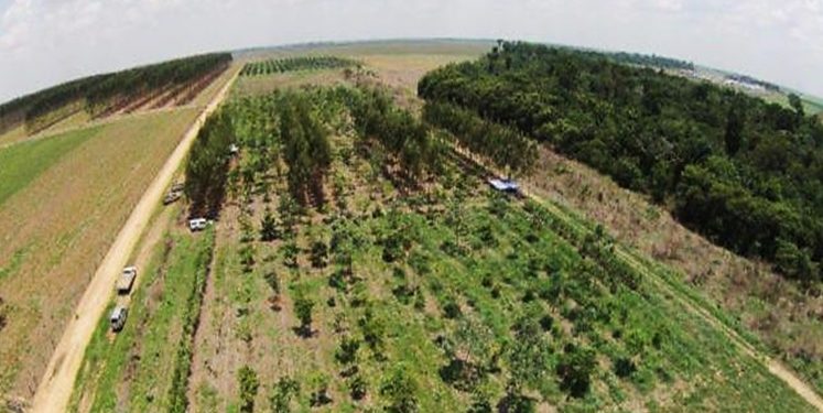 DEZ PONTOS POSITIVOS DO PL DE LICENCIAMENTO AMBIENTAL