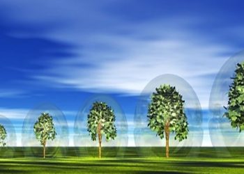 APONTAMENTOS SOBRE O PROCESSO DE DESAPROPRIAÇÃO E LICENCIAMENTO AMBIENTAL