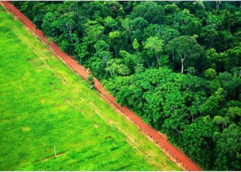 EVOLUÇÃO DAS POLÍTICAS FLORESTAL E AGRÁRIA NO BRASIL E AS LIÇÕES DO NOVO CÓDIGO FLORESTAL BRASILEIRO