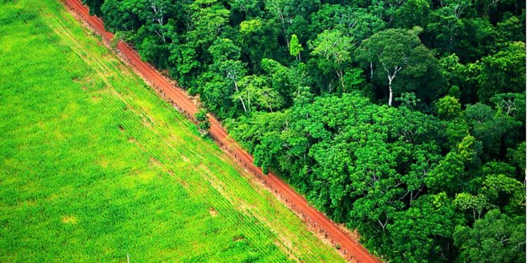 EVOLUÇÃO DAS POLÍTICAS FLORESTAL E AGRÁRIA NO BRASIL E AS LIÇÕES DO NOVO CÓDIGO FLORESTAL BRASILEIRO