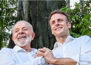 PAU-BRASIL PERDE AUMENTO DE PROTEÇÃO APÓS PRESSÃO DA FRANÇA