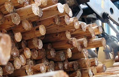 Toras de madeira reaproveitada (Foto: Internet/Divulgação)